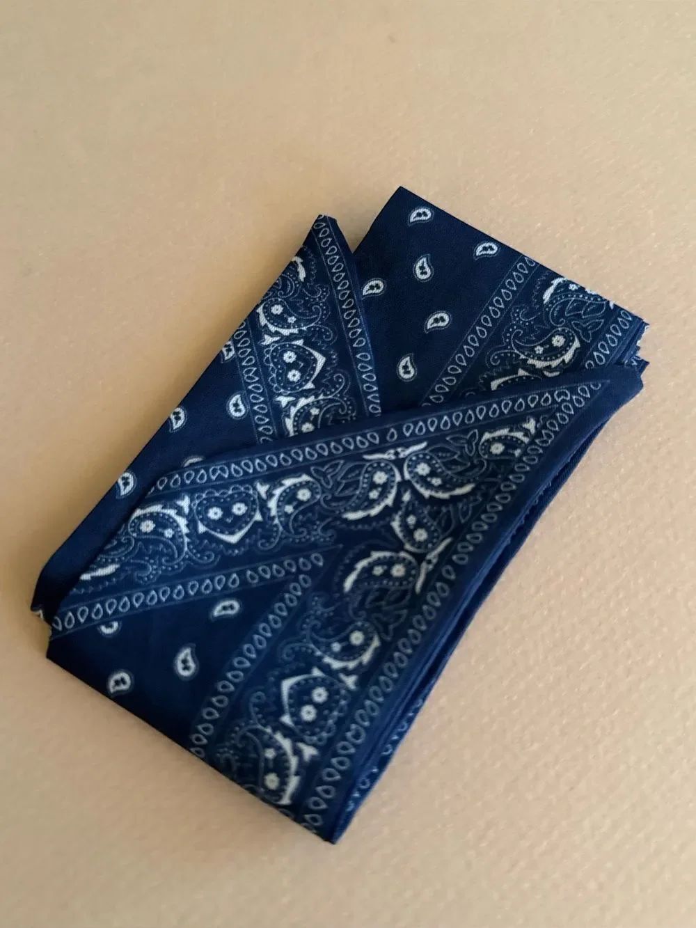 Classic Navy Paisley scarf M1592